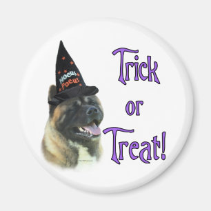 Imã Akita Trick