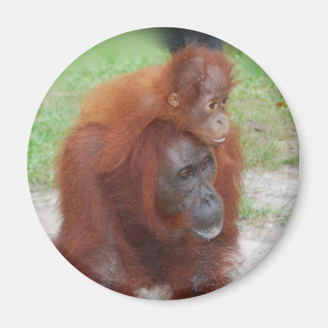 Imã Akmad e Baby Boy (Frente)