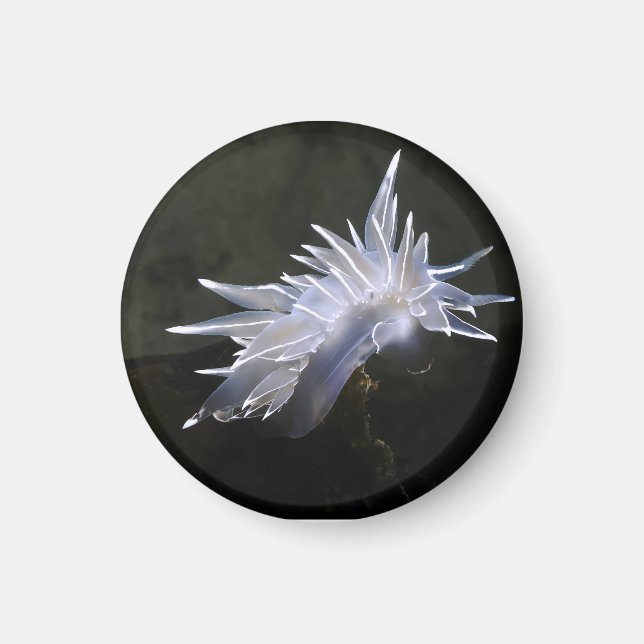 Imã Alabaster Nudibranch Magnet (Frente)