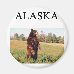 Imã Alaska