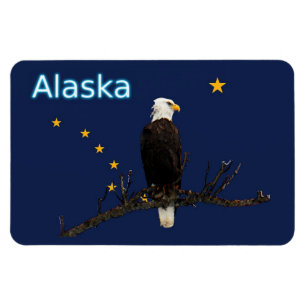 Ímã Alaska Eagle E Flag