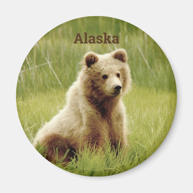 Imã Alaska Magnet com filhote de urso grizzle (Frente)