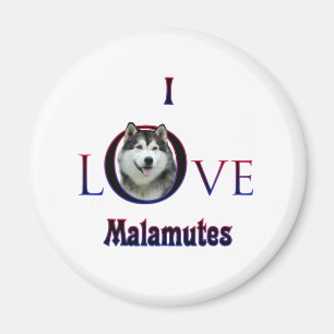 Imã Alaskan Malamute I Love