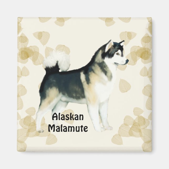 Imã Alaskan Malamute ~ Tan Deixa Motiff (Frente)