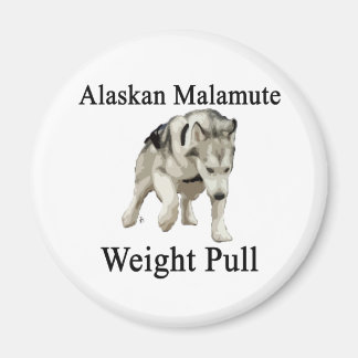Imã Alaskan Malamute Weull