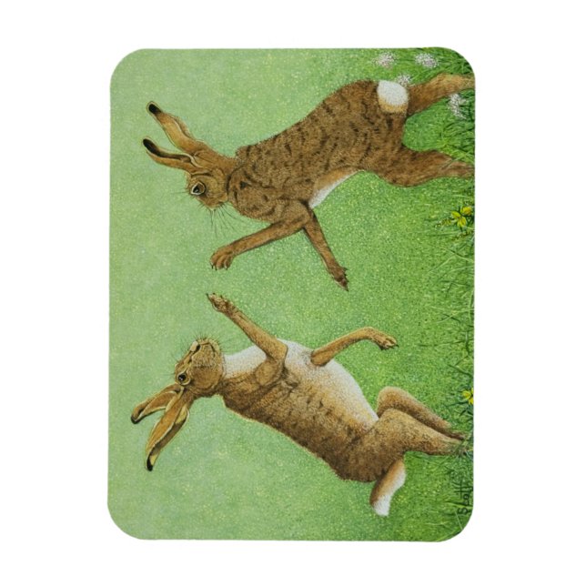 Ímã Alavanca in a box (Vertical)