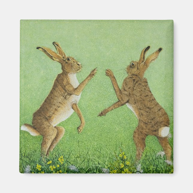 Imã Alavanca in a box (Frente)