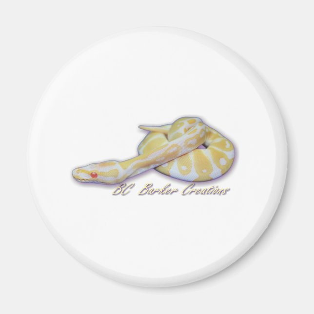 Imã Albino Hatchling Ball Python (Frente)