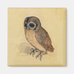 Imã Albrecht Durer a coruja pequena