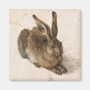 Imã Albrecht Dürer - Junger Hase (lebre nova), 1502