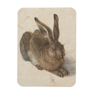 Ímã Albrecht Dürer - Lebre