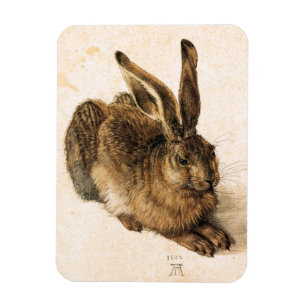 Ímã Albrecht Durer Young Hare