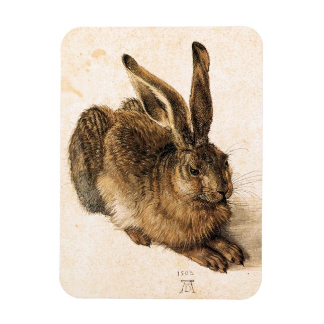 Ímã Albrecht Durer Young Hare (Vertical)