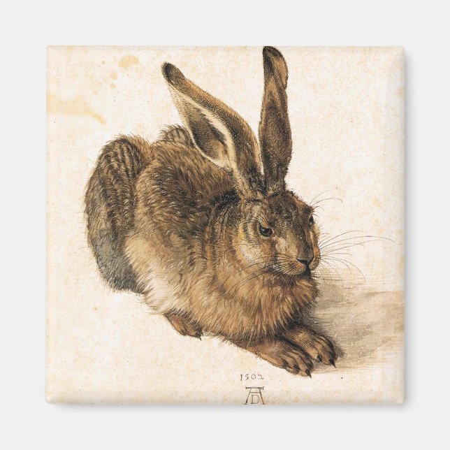 Imã Albrecht Durer Young Hare Magnet (Frente)