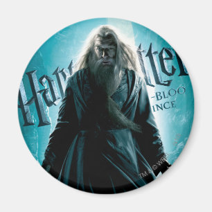 Imã Albus Dumbledore HPE6 1
