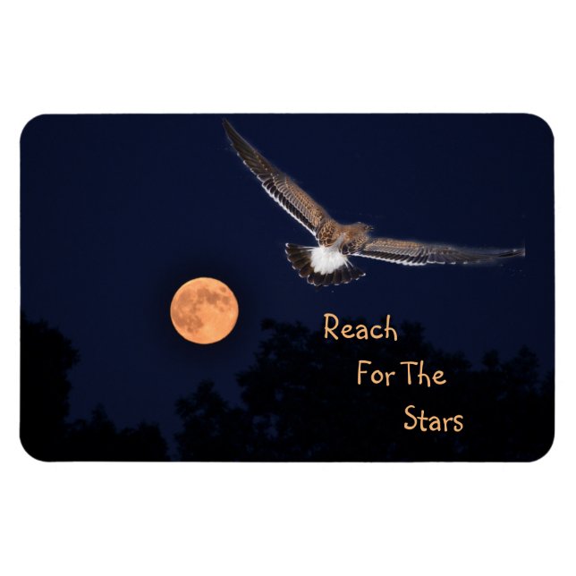 Ímã Alcance Para A Lua Das Estrelas (Horizontal)
