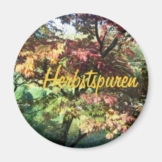 Imã Alegria no outono