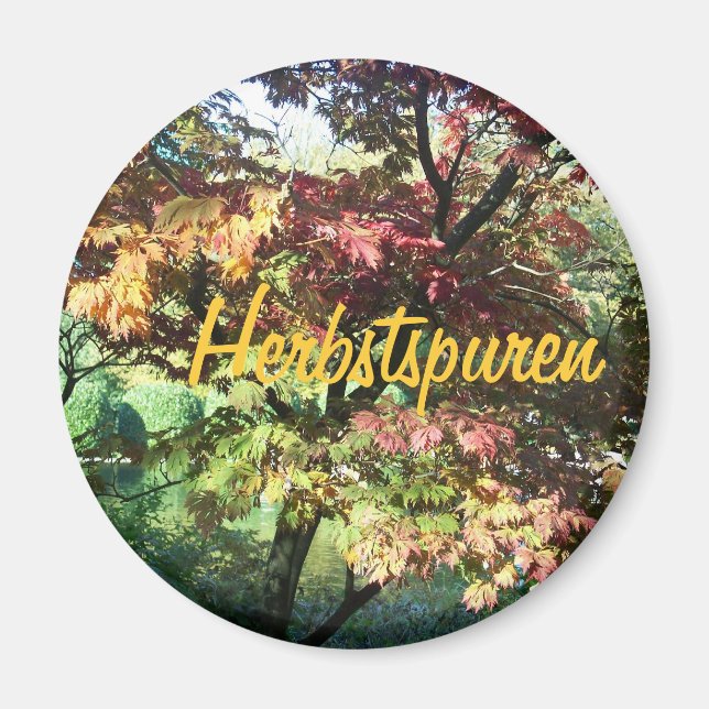 Imã Alegria no outono (Frente)