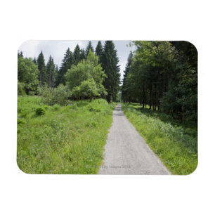 Ímã Alemanha, Thuringia, trajeto na floresta