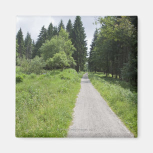 Imã Alemanha, Thuringia, trajeto na floresta