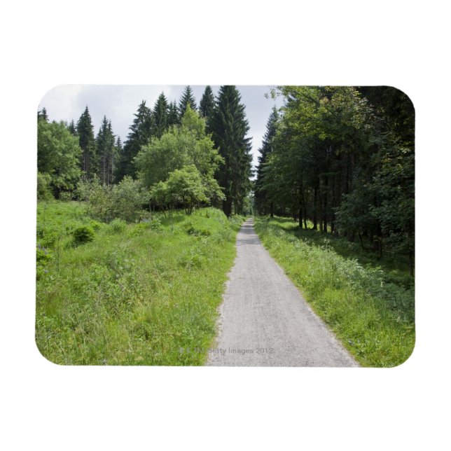 Ímã Alemanha, Turíngia, caminho para a floresta (Horizontal)