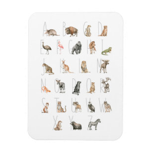 Ímã Alfabeto Animal Cóteo