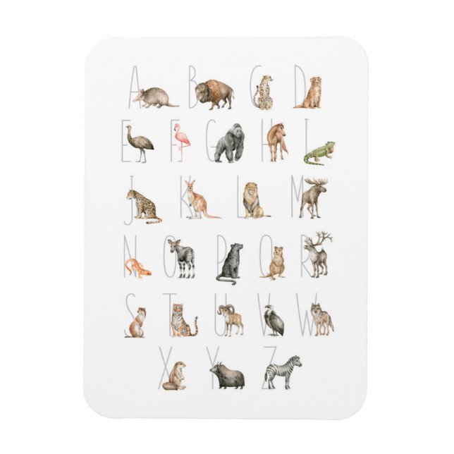 Ímã Alfabeto Animal Cóteo (Vertical)