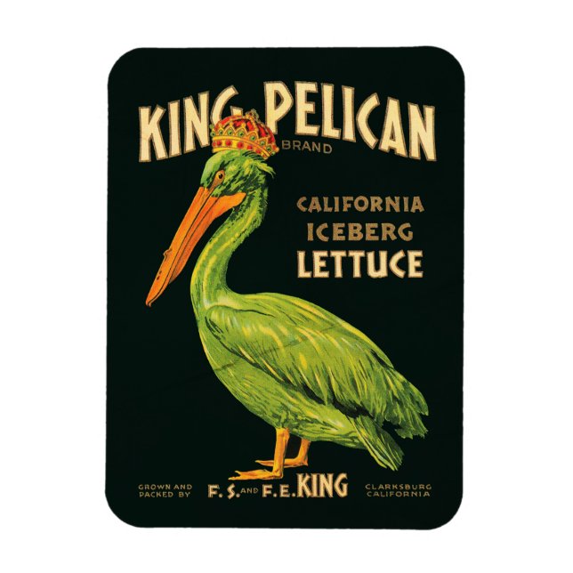 Ímã Alface iceberg King Pelican (Vertical)