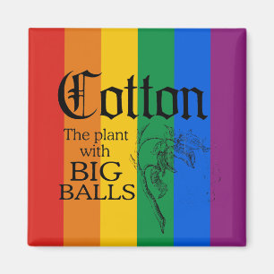 IMÃ ALGODÃO: A PLANTA COM BOLAS GRANDES