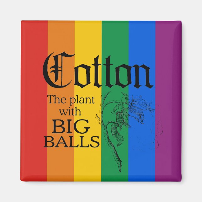 IMÃ ALGODÃO: A PLANTA COM GRANDES BALAS (Frente)