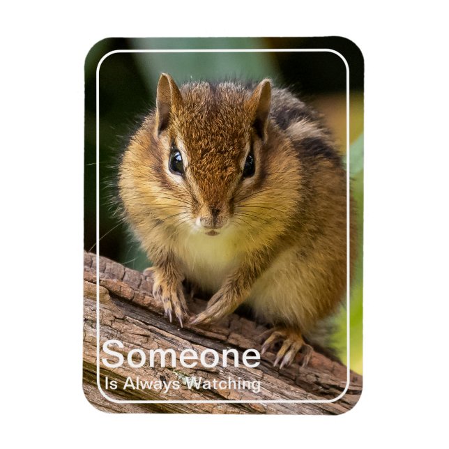 Ímã Alguém está assistindo Chipmunk (Vertical)