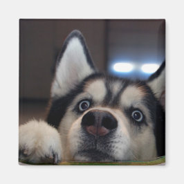 Imã Alguém Lá Fora?