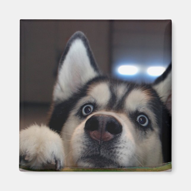 Imã Alguém Lá Fora? (Frente)