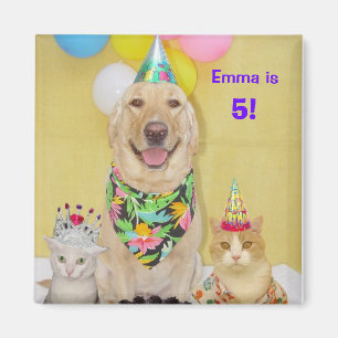 Imã Algum ímã do aniversário do ano