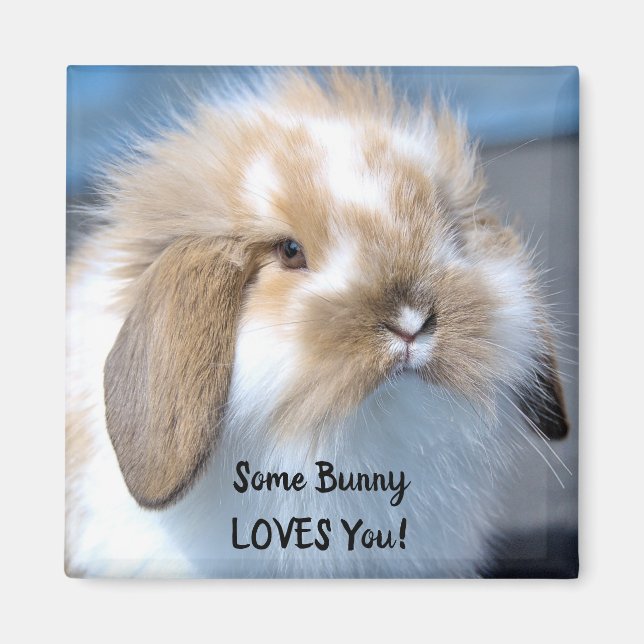 Imã Alguns Bunny Te Ama - Fluffy Holland Lop (Frente)