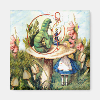 Imã Alice e a lagarta na Terra das Maravilhas