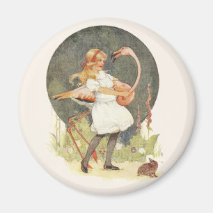 Imã Alice e o Flamingo