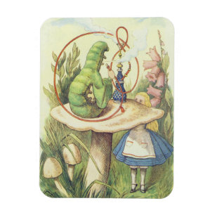 Ímã Alice encontra a lagarta