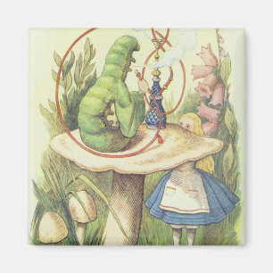 Imã Alice encontra a lagarta