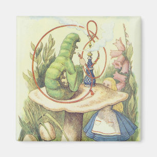 Imã Alice encontra Caterpillar