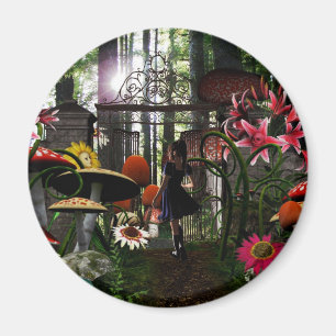 Imã Alice no ímã do país das maravilhas