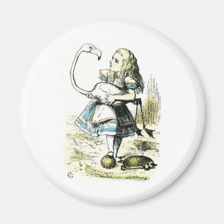Imã Alice no País das Maravilhas