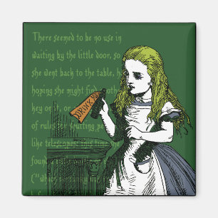 Imã Alice no país das maravilhas