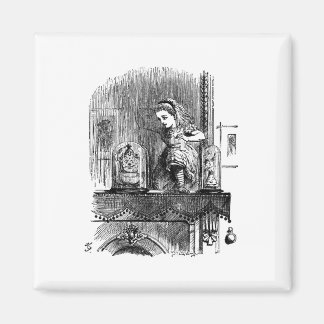 Imã Alice no País das Maravilhas Através do Vidro