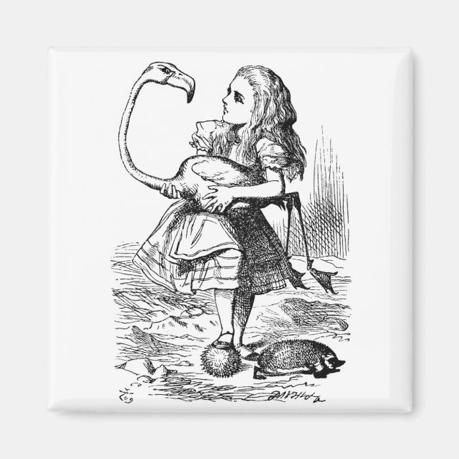 Imã Alice tentando jogar croquete com um flamingo (Frente)