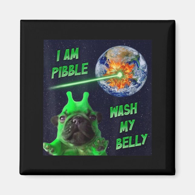 Imã Alien Bble Funny Brainrot Dog Meme Space I Am Bble (Frente)