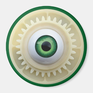 Imã Alimentação 1