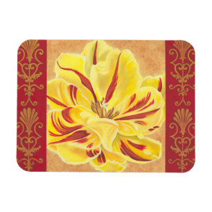 Ímã Alimentação de Tulip II