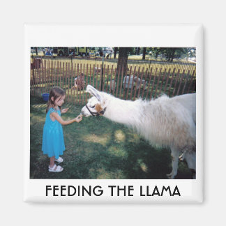 IMÃ ALIMENTAÇÃO DO LLAMA