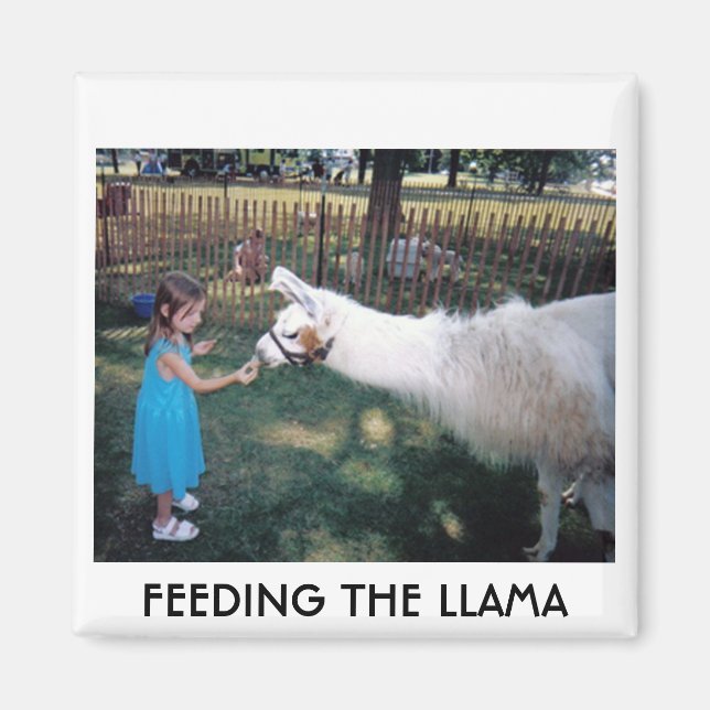 IMÃ ALIMENTAÇÃO DO LLAMA (Frente)